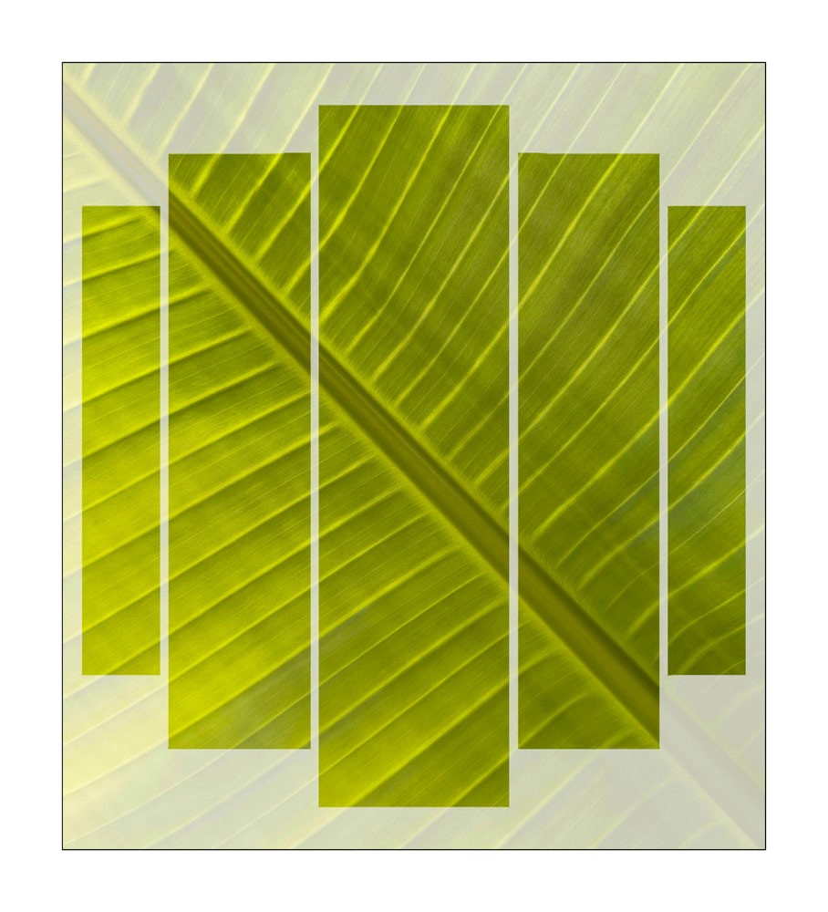 , May 2025 Gold Awards