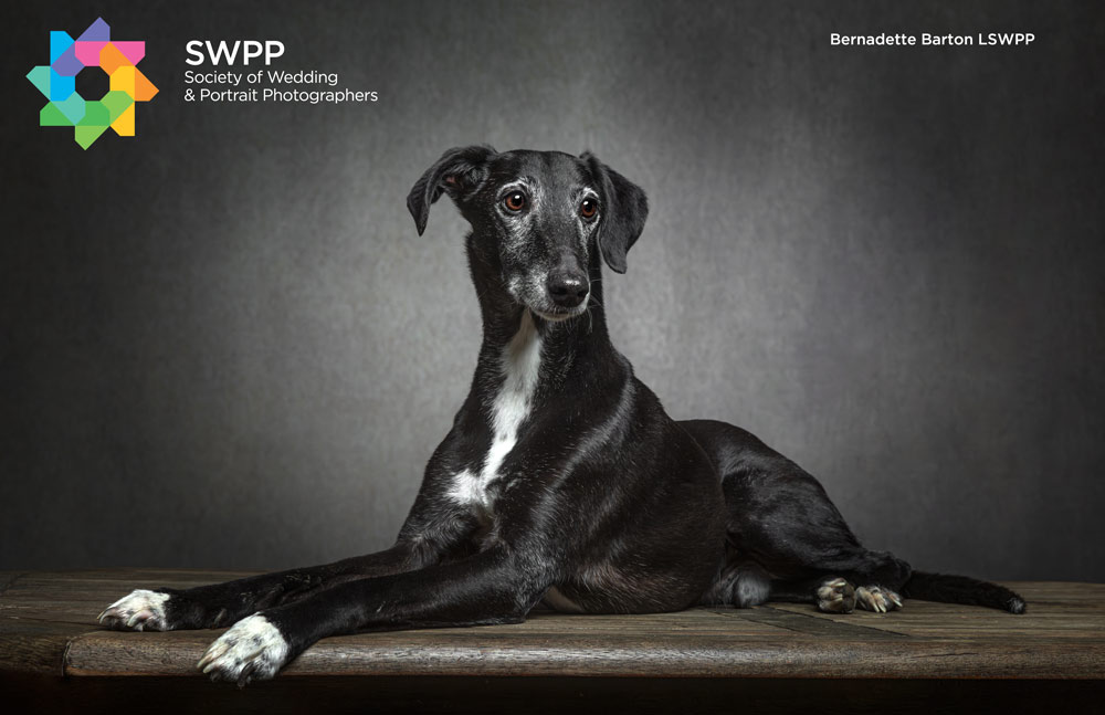 , Bernadette Barton Qualifies with the Society of Wedding and Portrait Photographers