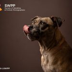 Miriam Smith LSWPP