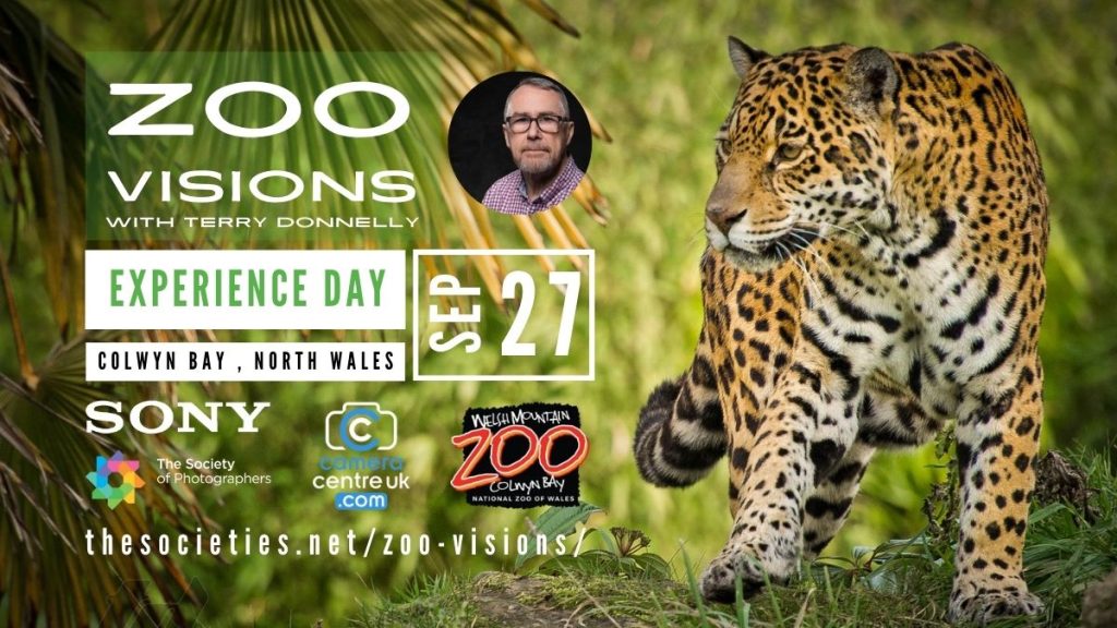 Zoo Visions with Terry Donnelly (Experience Day)