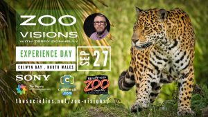 Zoo Visions with Terry Donnelly (Experience Day)