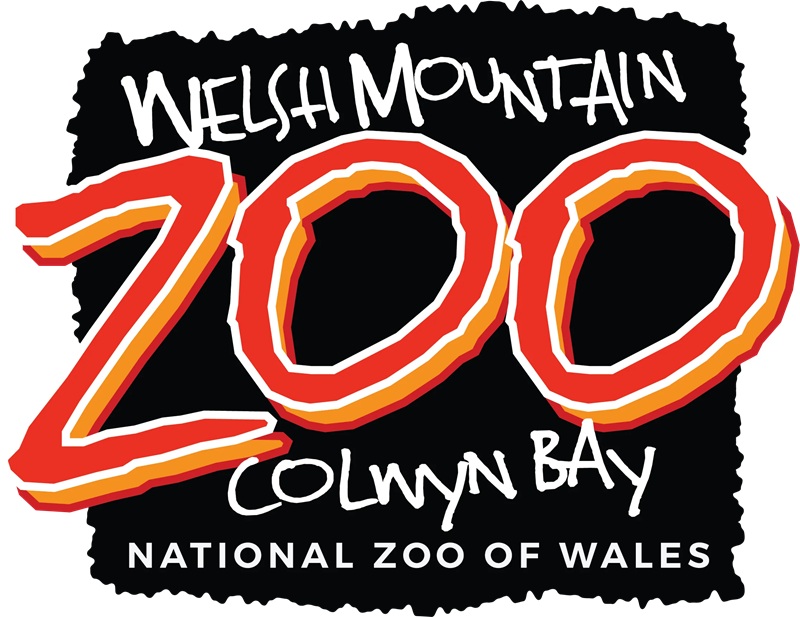 welsh mountain zoo