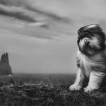 Craig Turner-Bullock Monochrome