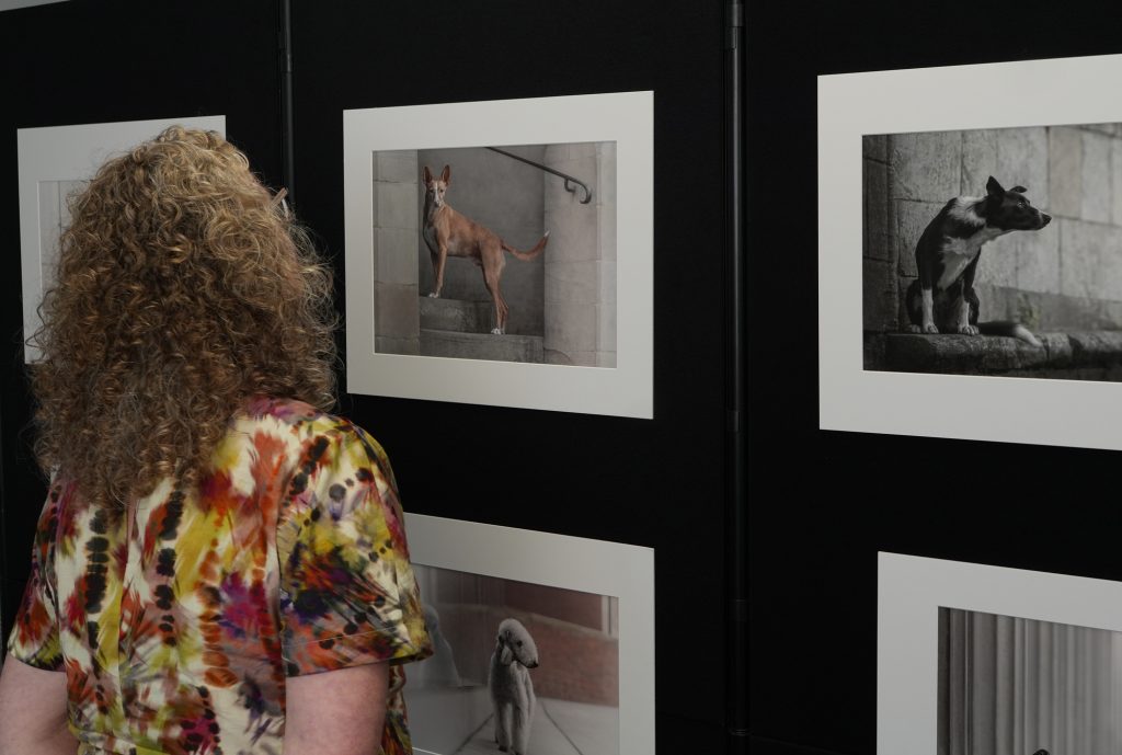 Judging Photographic Qualifications