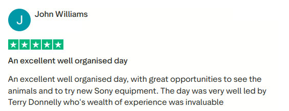 Screenshot of a Trustpilot review by John complimenting the well-organised day, animal viewing opportunities, use of Sony equipment, and guidance from expert Terry Donnelly