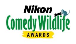 , Nikon Comedy Wildlife Awards 2025 Finalists Revealed