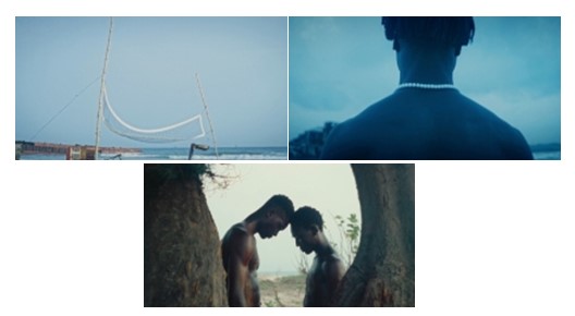 , Winners in the Nikon film and photo contest 2024-2025 announced