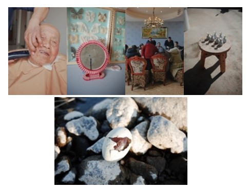 , Winners in the Nikon film and photo contest 2024-2025 announced