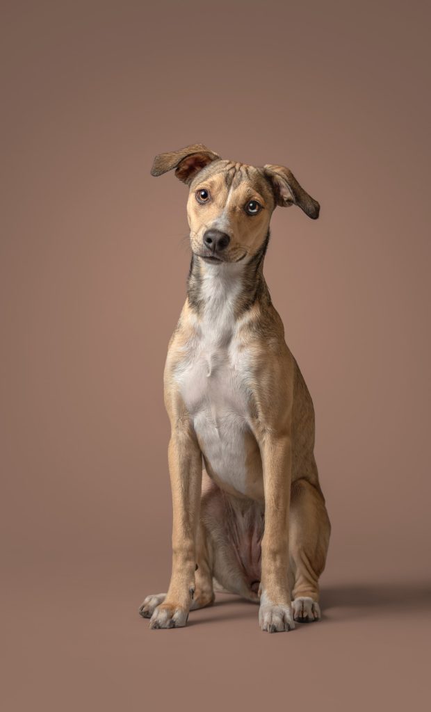 , October 2025 Highly Commended