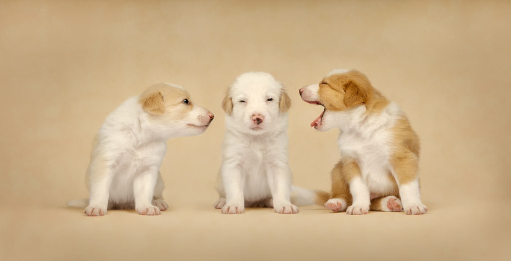 , October 2025 Highly Commended