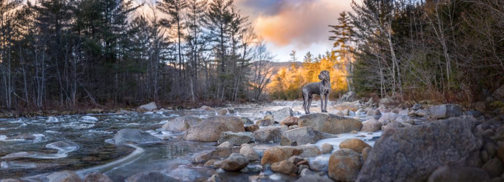 , October 2025 Gold Awards