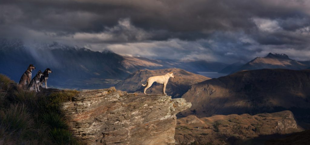 , October 2025 Highly Commended