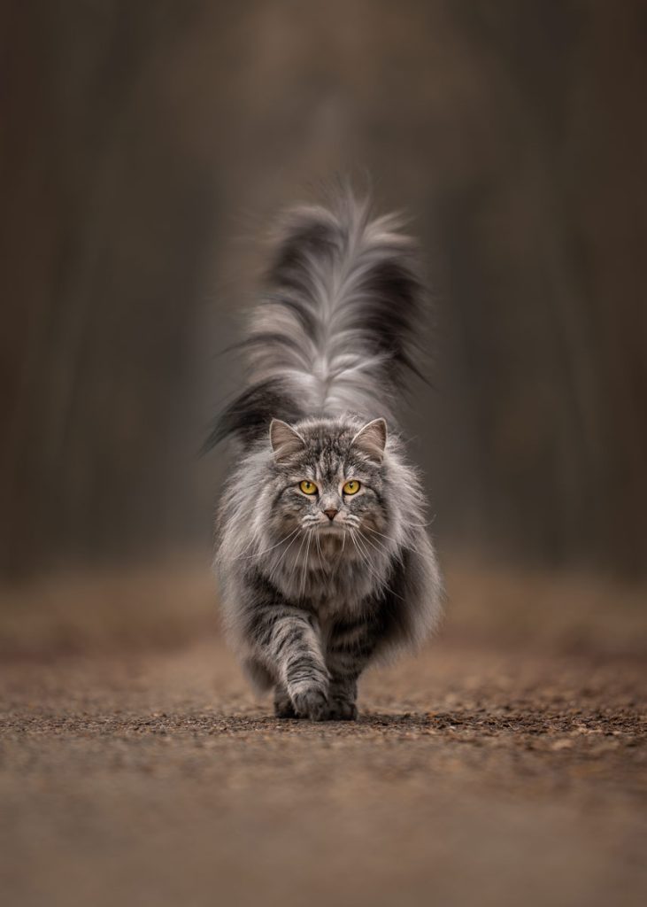 , October 2025 Gold Awards