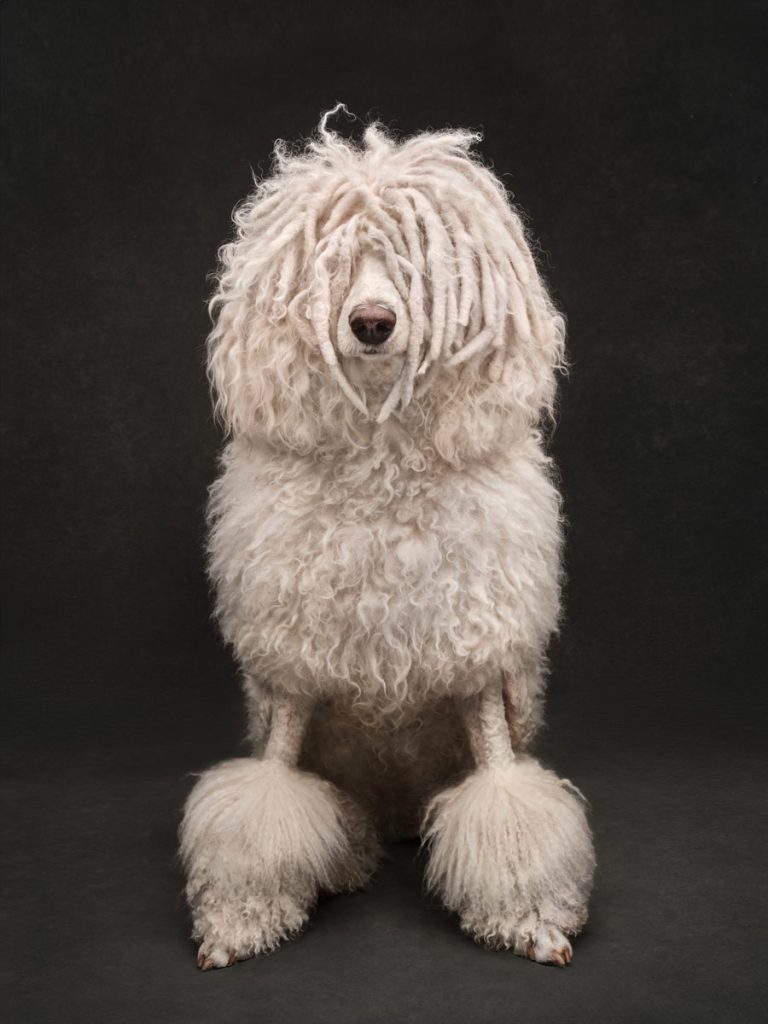 , October 2025 Gold Awards