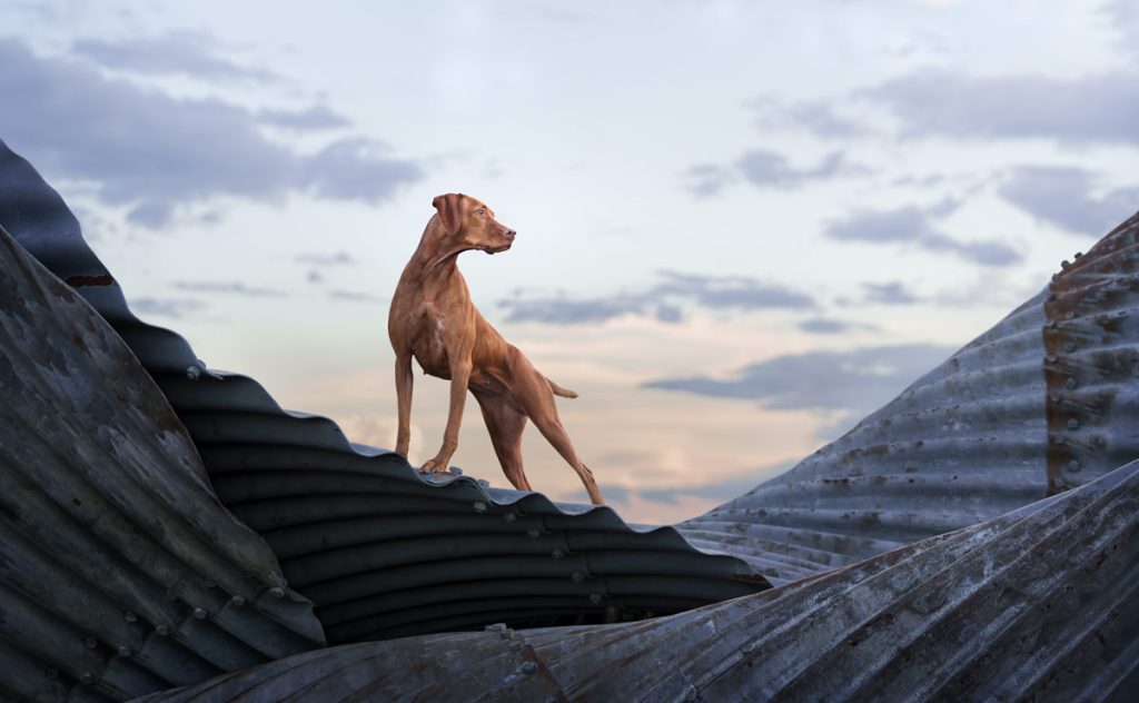 , October 2025 Gold Awards