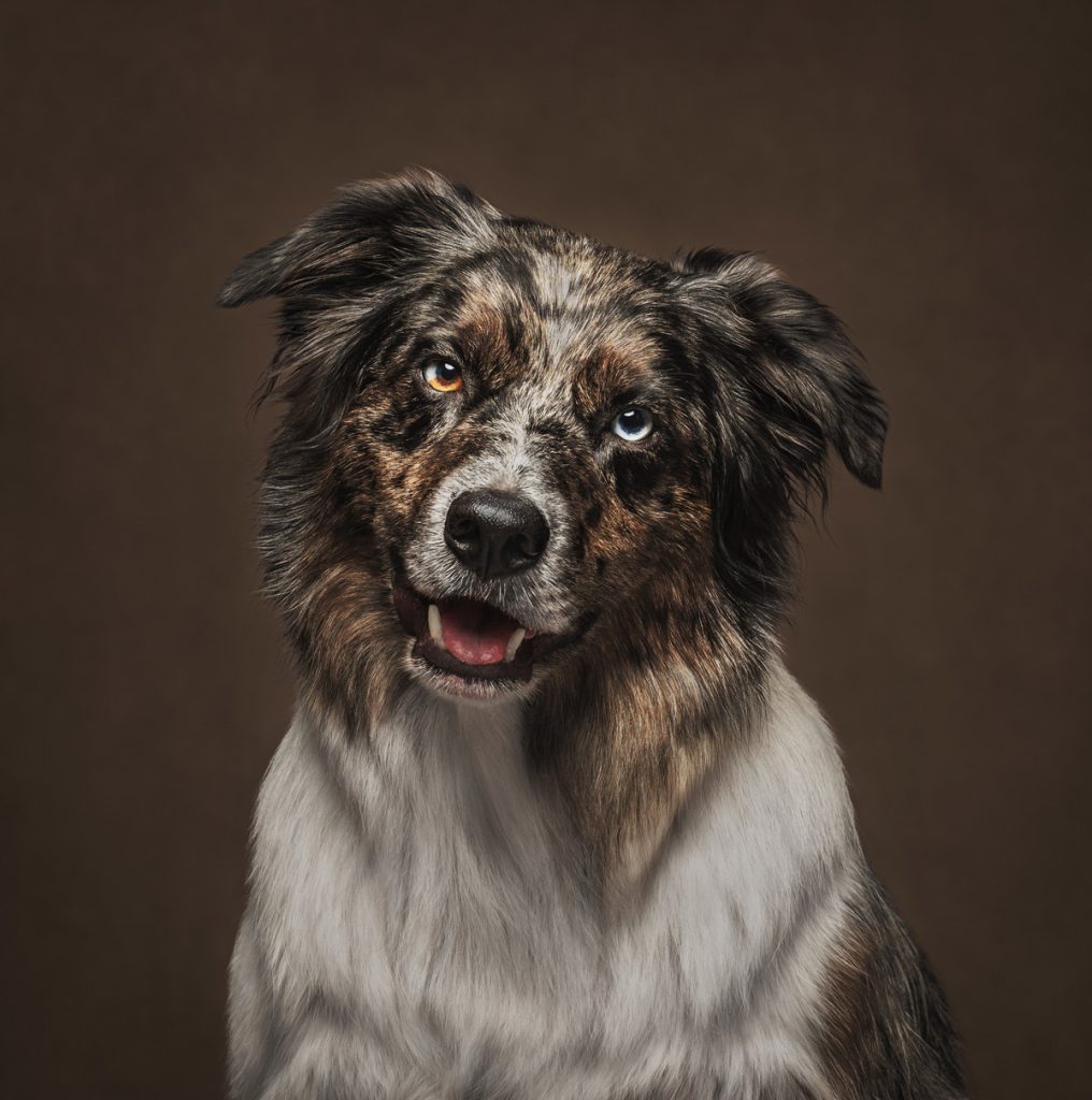 , October 2025 Highly Commended