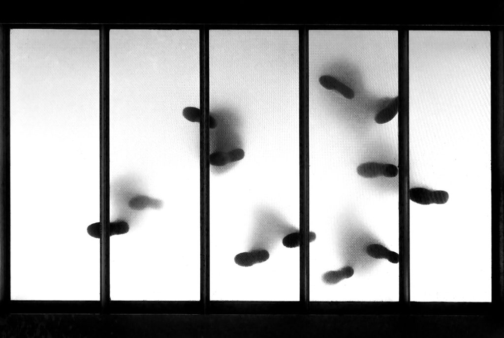 , October 2025 Highly Commended