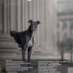 Professional Imagemaker October - November 2025 Now Available Online