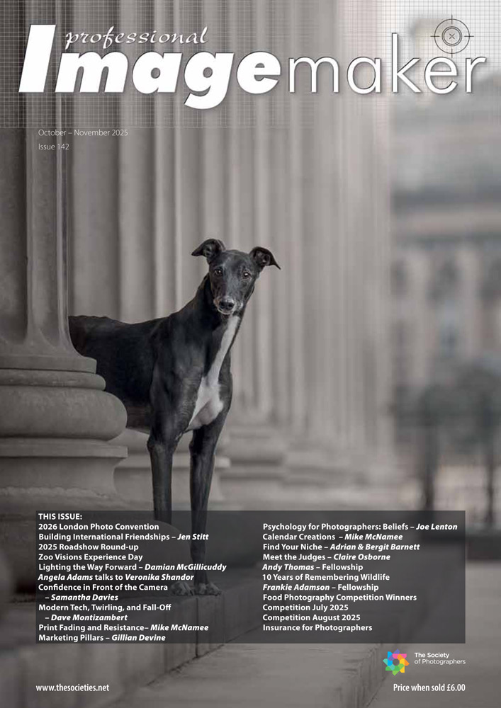 Professional Imagemaker October - November 2025 Now Available Online