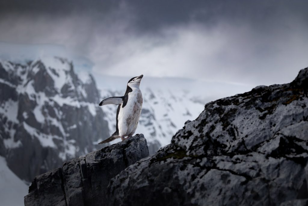 , October 2025 Highly Commended