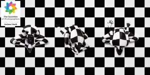 October 2025 Judges Choice