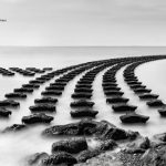 Sue Evans successful Associate submission