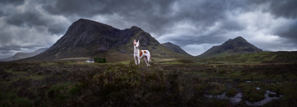 , November 2025 Highly Commended