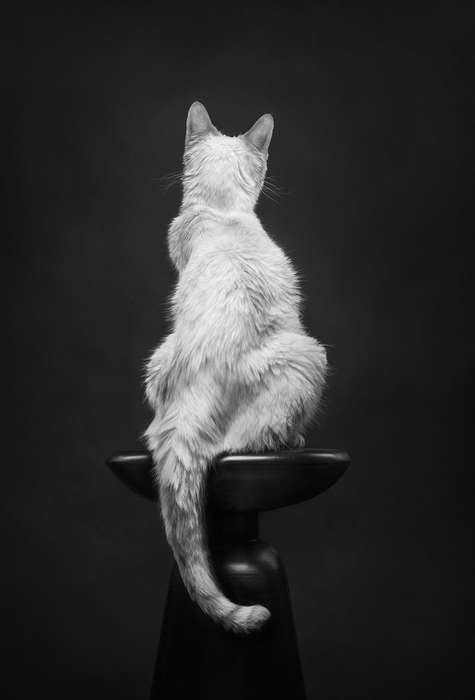 , 2025 Highly Commended Upgrades