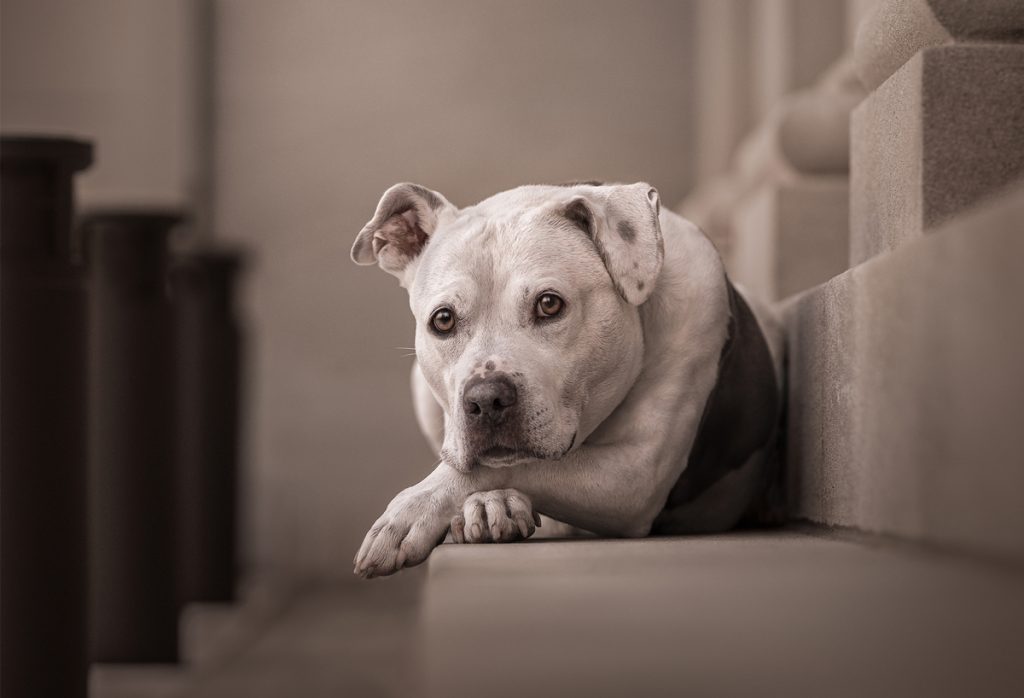 , November 2025 Highly Commended