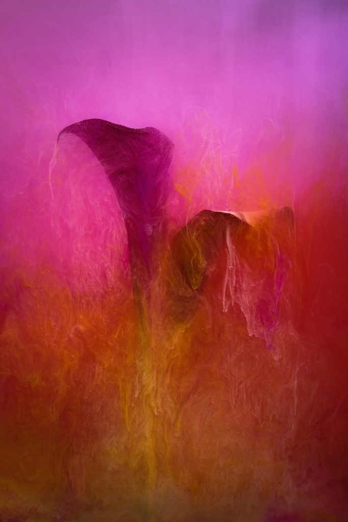 , November 2025 Highly Commended