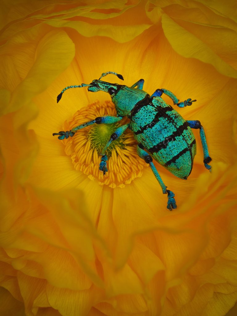 , 2025 Highly Commended Upgrades