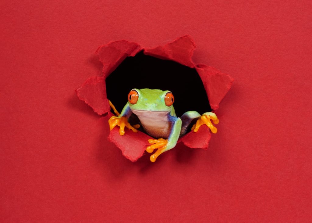 , November 2025 Highly Commended