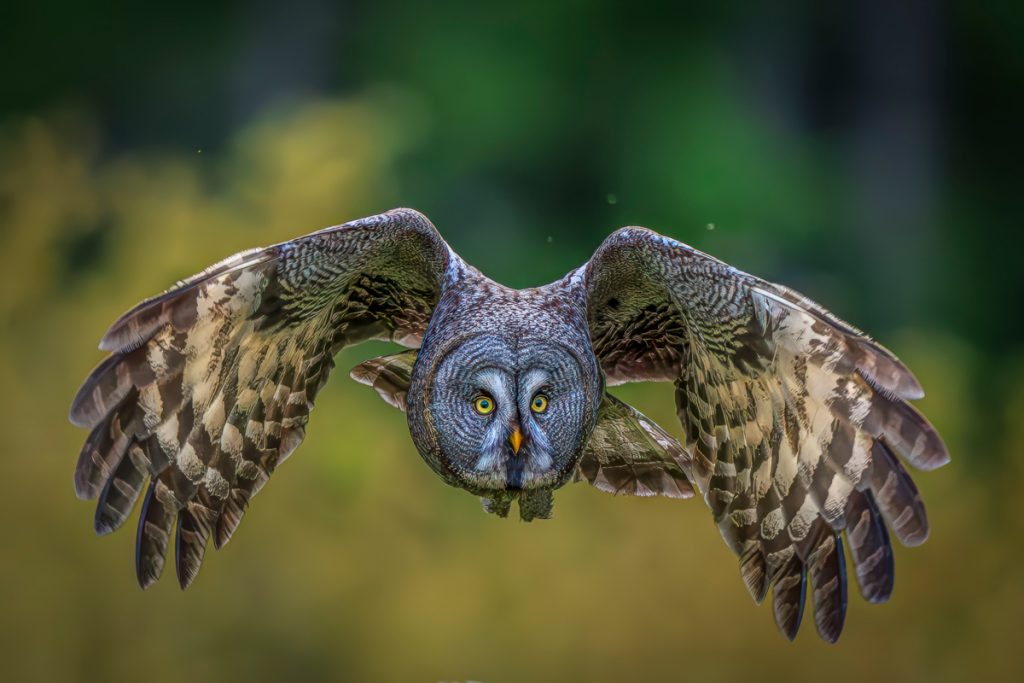 , 2025 Highly Commended Upgrades