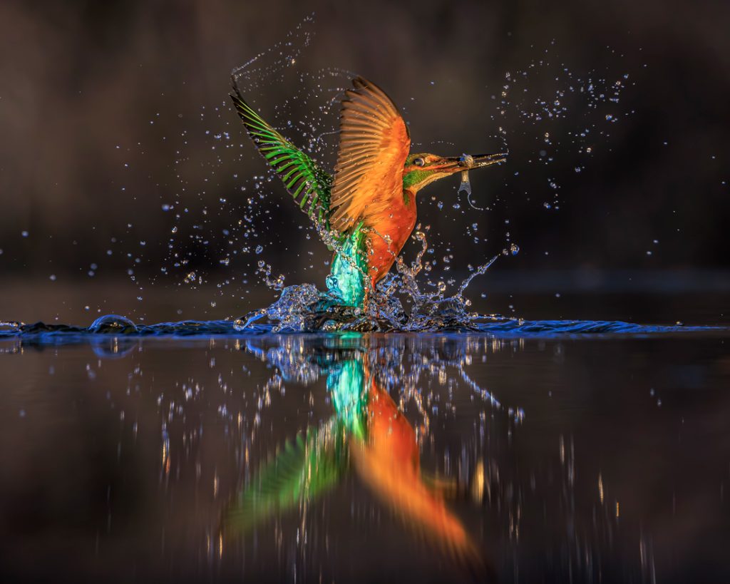 , November 2025 Gold Awards