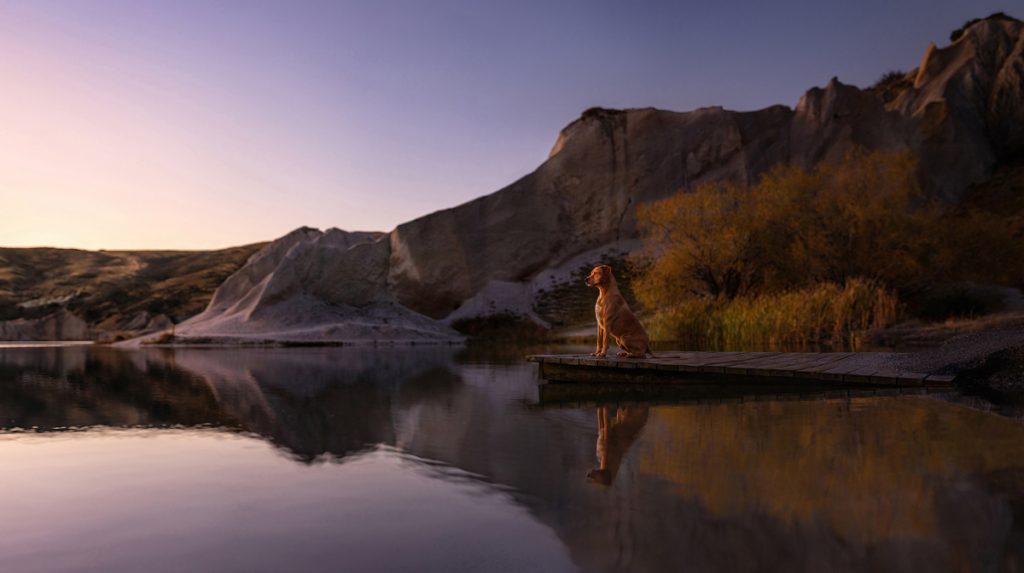 , November 2025 Highly Commended