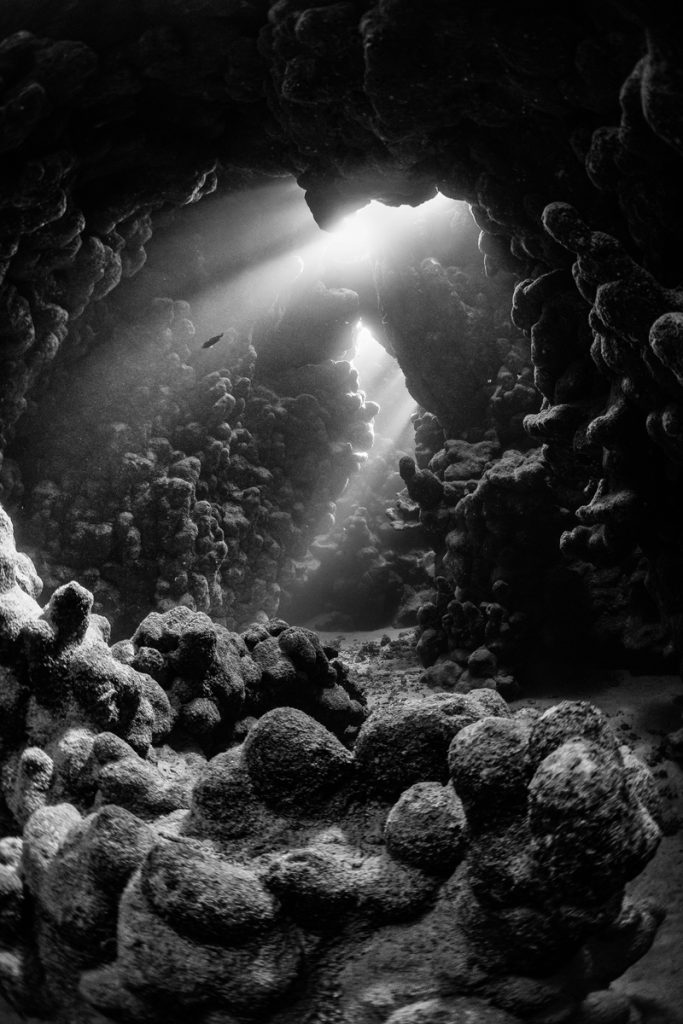 , 2025 Highly Commended Upgrades