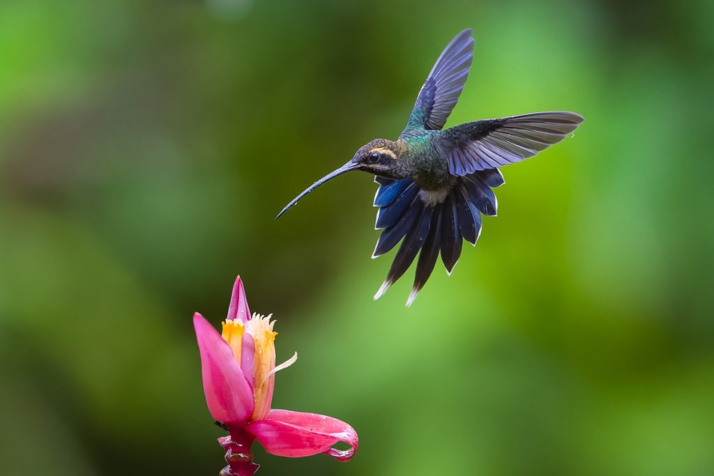 , 2025 Highly Commended Upgrades