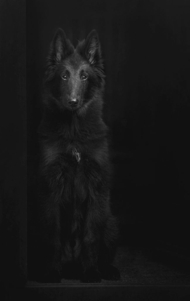 , 2025 Highly Commended Upgrades