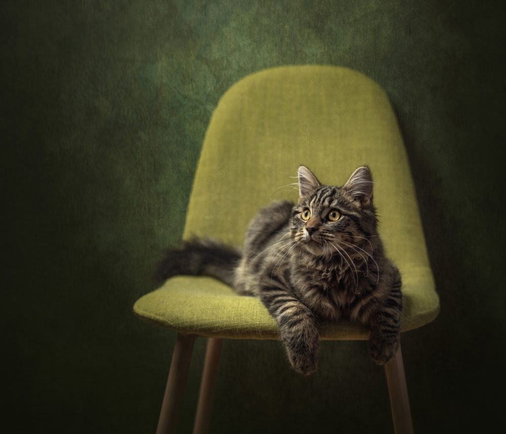 , 2025 Highly Commended Upgrades