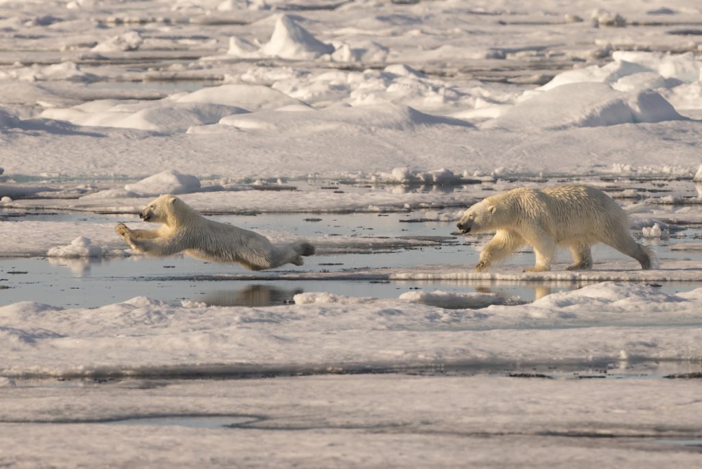 , 2025 Highly Commended Upgrades