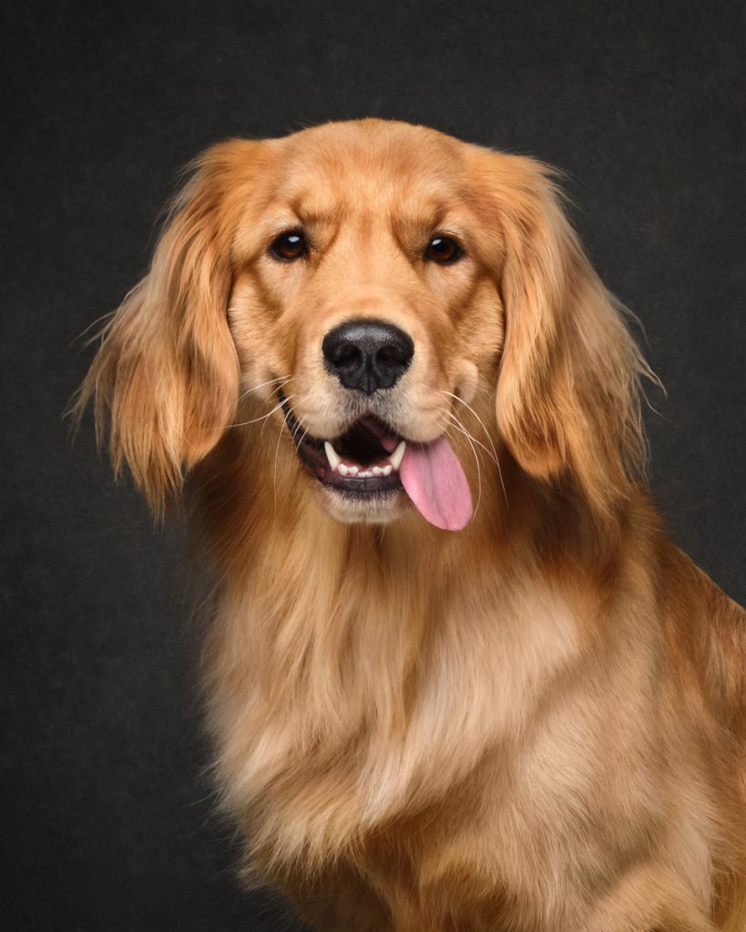 , November 2025 Highly Commended