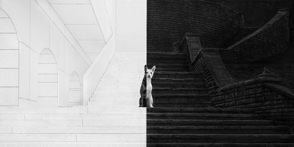 , November 2025 Highly Commended