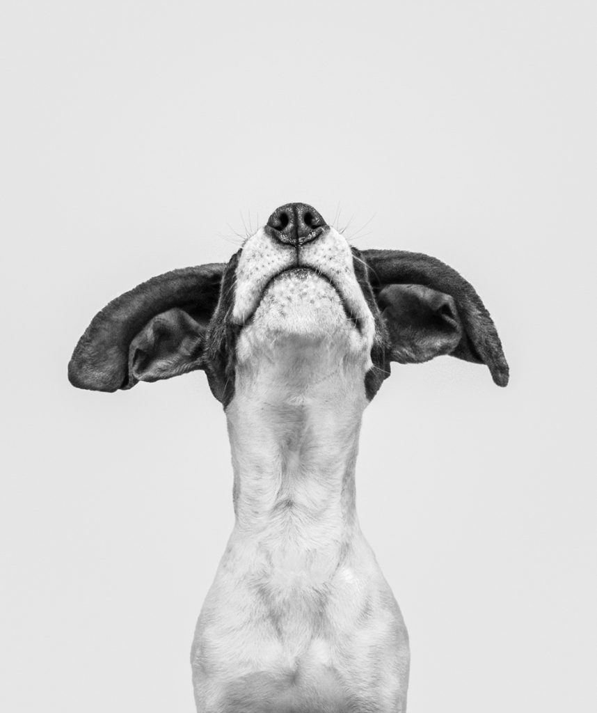 , 2025 Highly Commended Upgrades