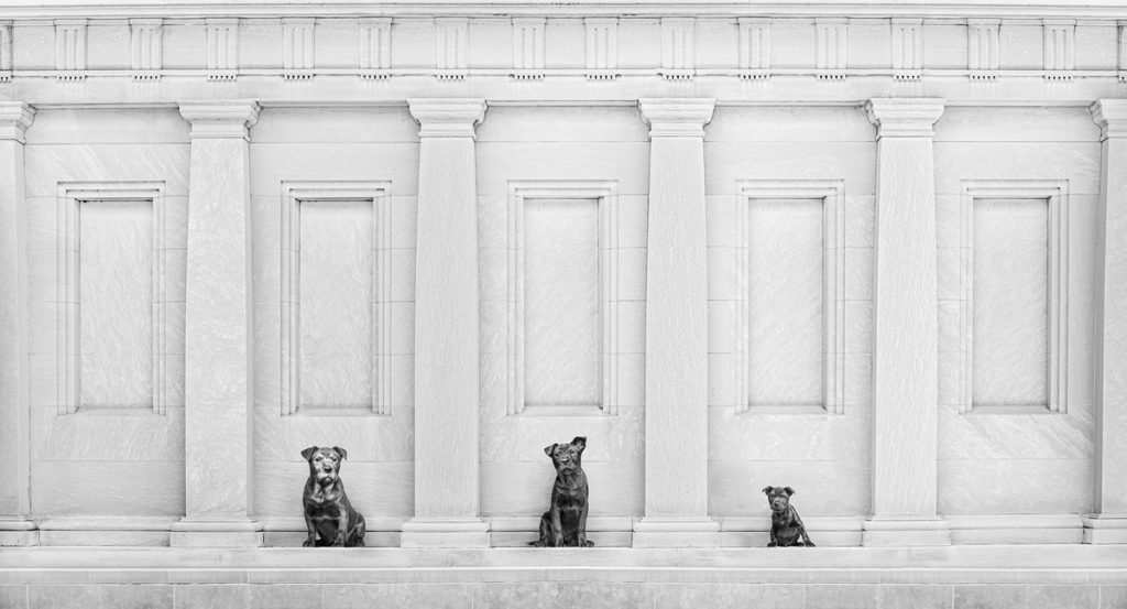 , November 2025 Highly Commended