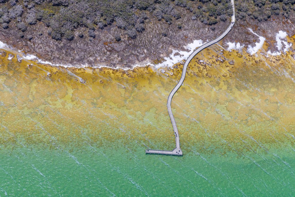 , November 2025 Highly Commended