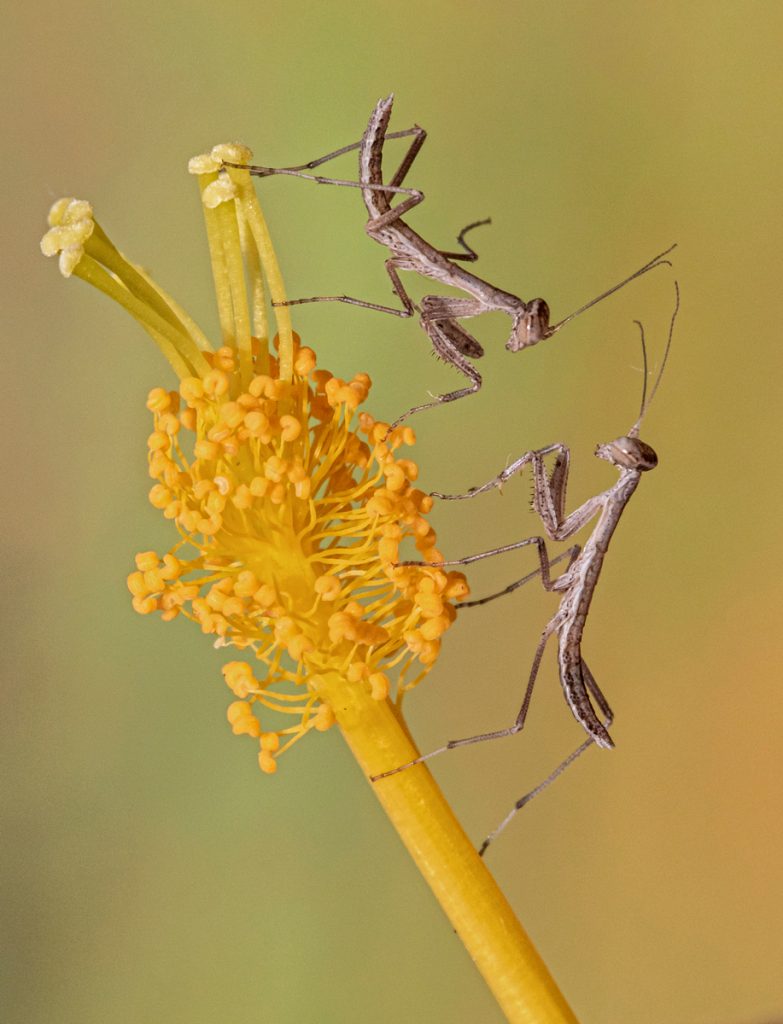 , 2025 Highly Commended Upgrades