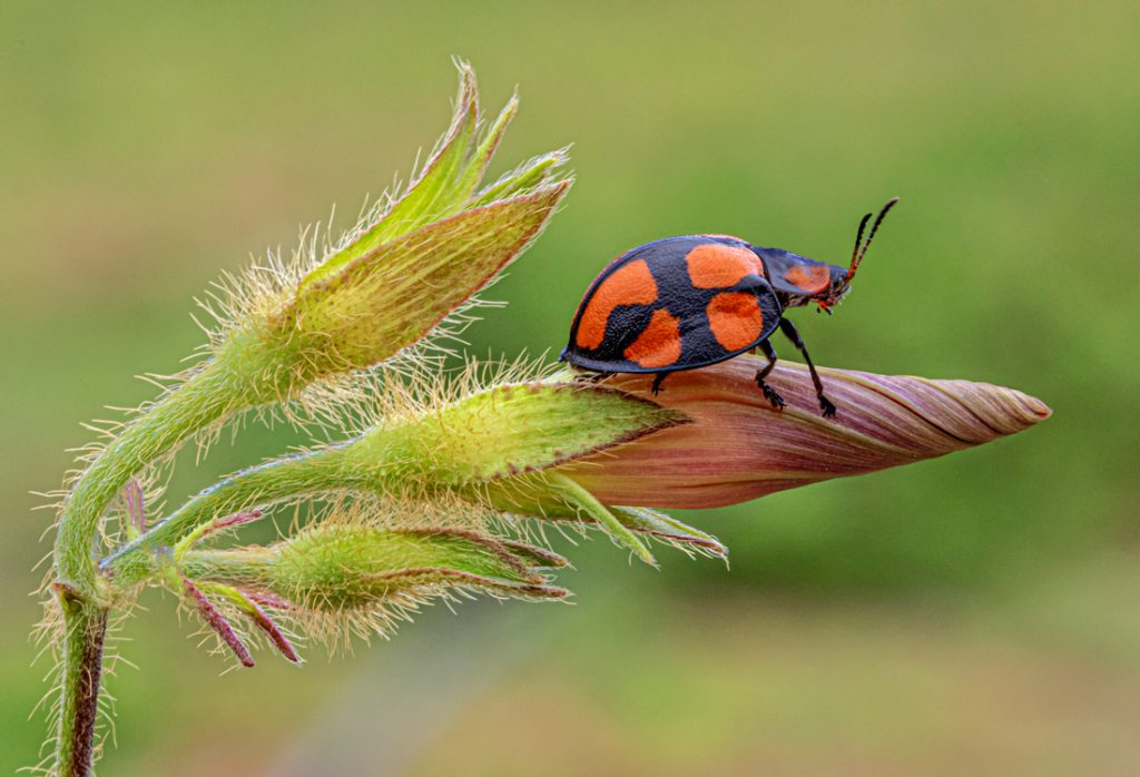 , November 2025 Gold Awards