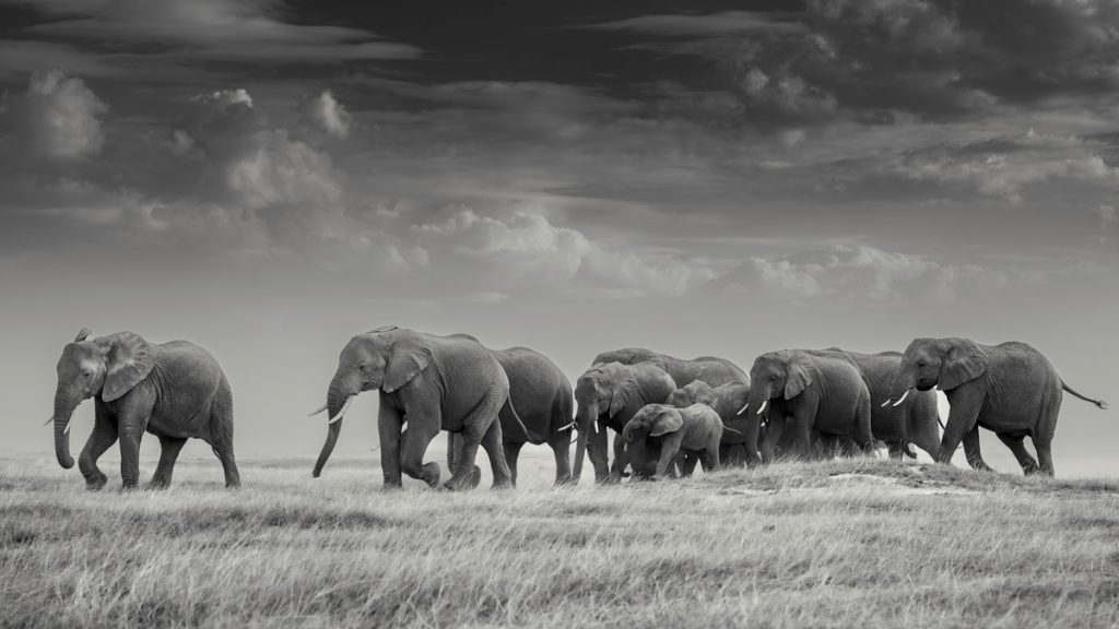 , 2025 Highly Commended Upgrades