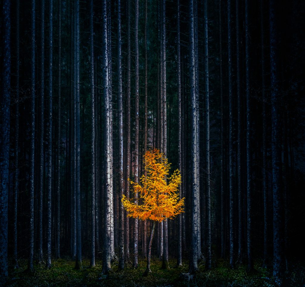 , November 2025 Highly Commended