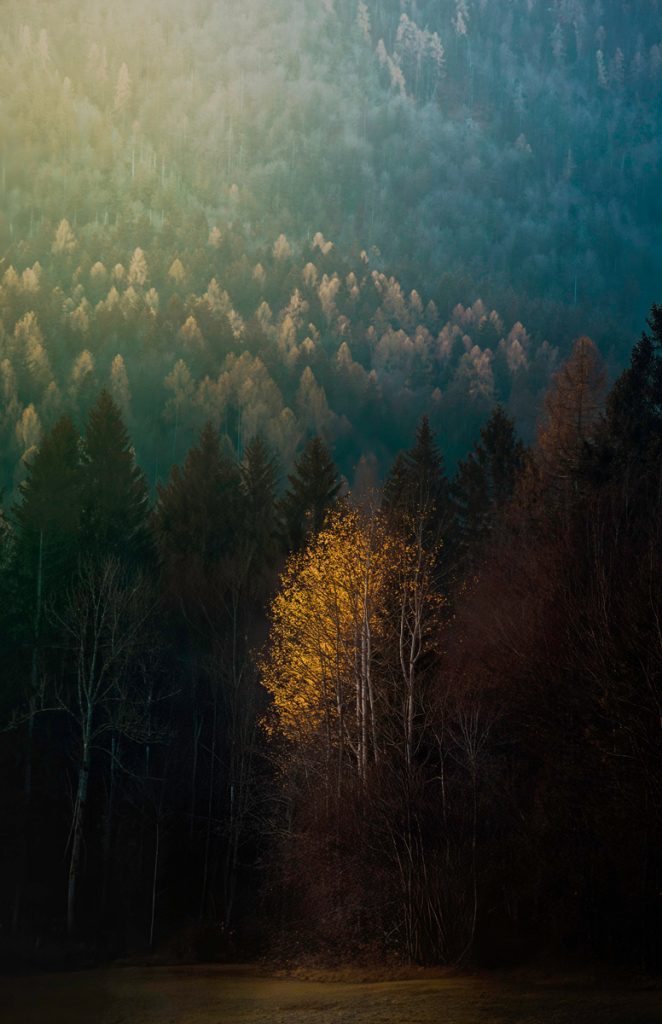 , 2025 Highly Commended Upgrades